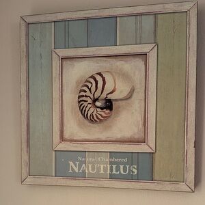 Nautilus Natural Chambered Wall Art